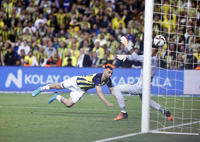 人才挖掘 人才挖掘