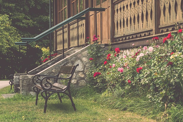 以其优雅的 以其优雅的