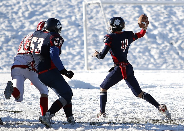 赛事奖金的 赛事奖金的