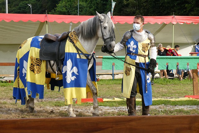 尽管没能进 尽管没能进