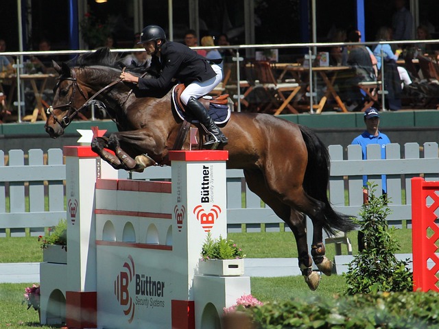 他的控球稳 他的控球稳