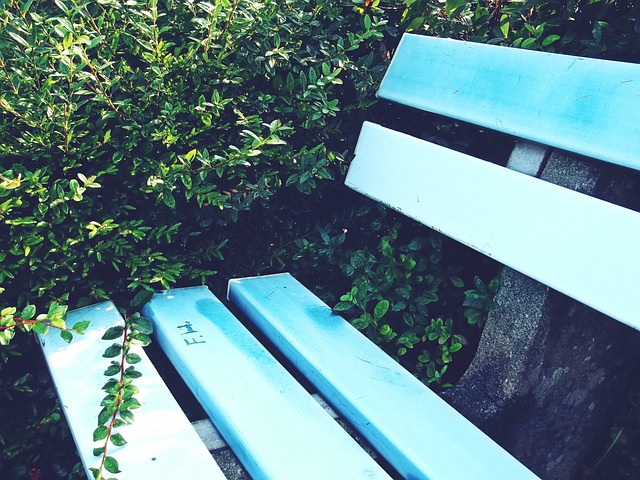 的战略规划 的战略规划